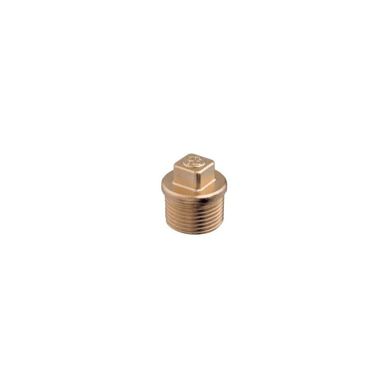 GUIDI BOUCHON MÂLE 1/4'
