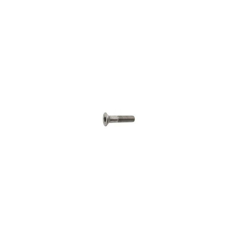 MARINOX Vis métaux inox A4 T.F.H.C 08X25 les 2