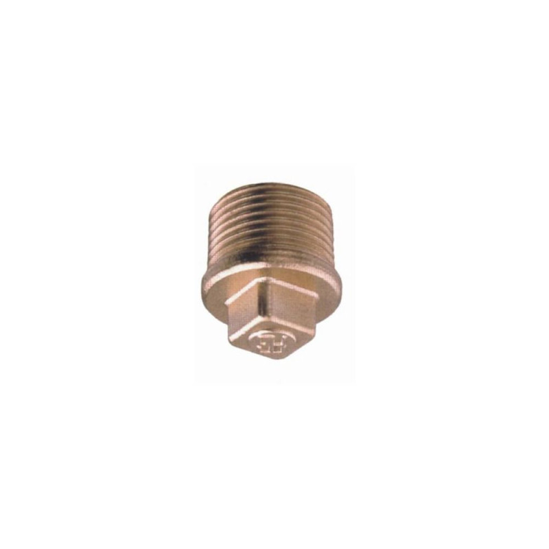 GUIDI Bouchon mâle 1/2" VRAC