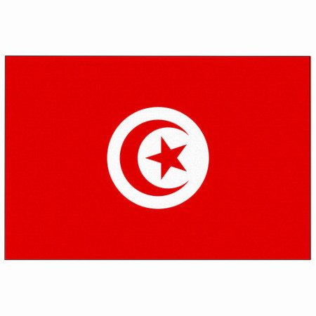 Pavillon Tunisie 20 x 30 cm -