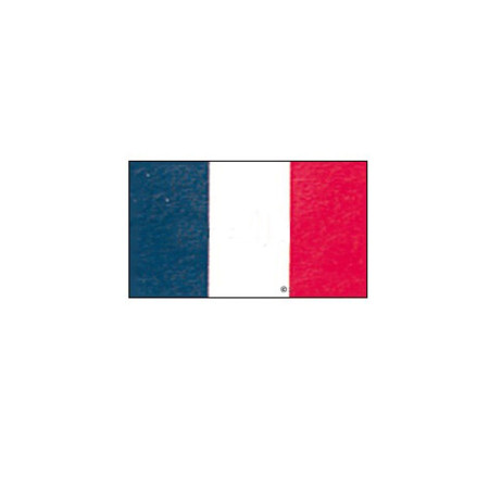Pavillon France - 20 x 30 cm