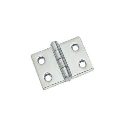 Charnière saillante 5mm AISI316 38x38 mm -