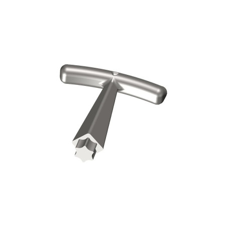 Clef de nable en Té exalobée (petite empreinte étoile) Alu B