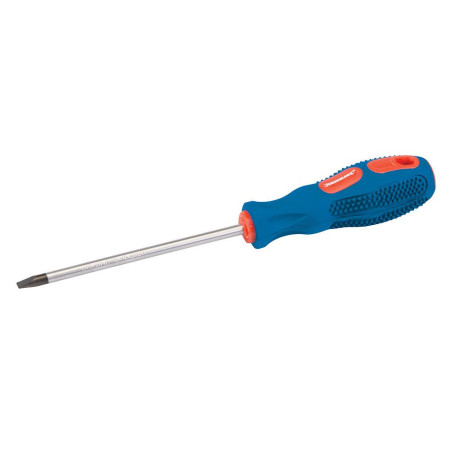 Tournevis plat - 3 x 100mm