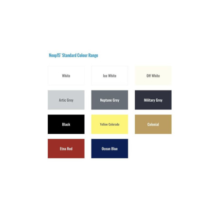 Neop 15 Kit peinture  bi -composant 1 L noir