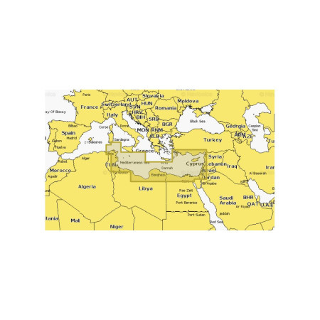 GARMIN NAVIONICS+ REGULAR SD/MICRO SD EU016R