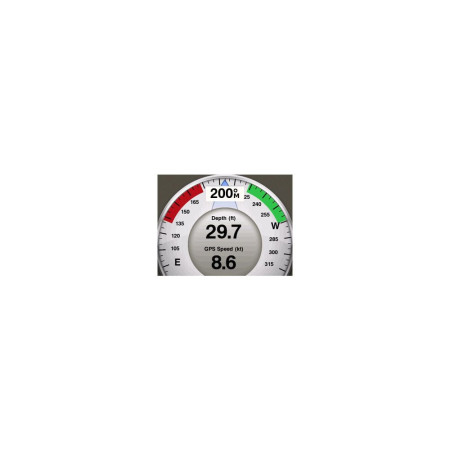GARMIN GMI 20