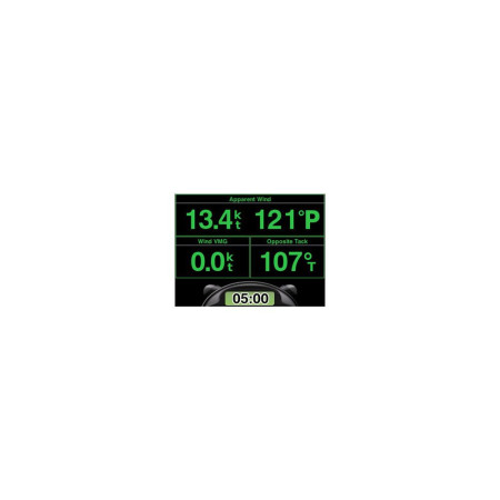 GARMIN GMI 20